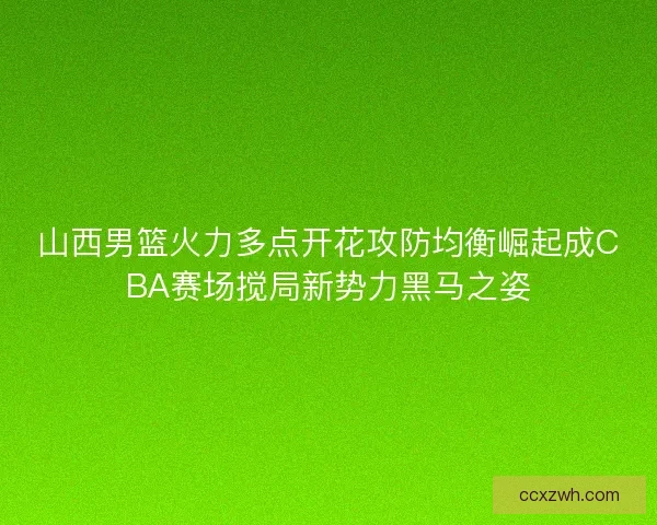山西男篮火力多点开花攻防均衡崛起成CBA赛场搅局新势力黑马之姿