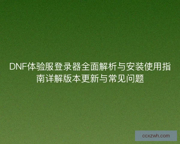 DNF体验服登录器全面解析与安装使用指南详解版本更新与常见问题
